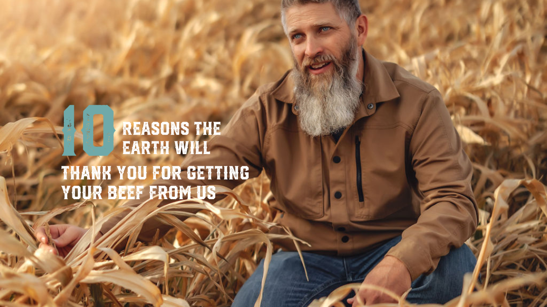 10 Reasons the Earth Will Thank You for Getting Your Beef from Wholly Cow Market