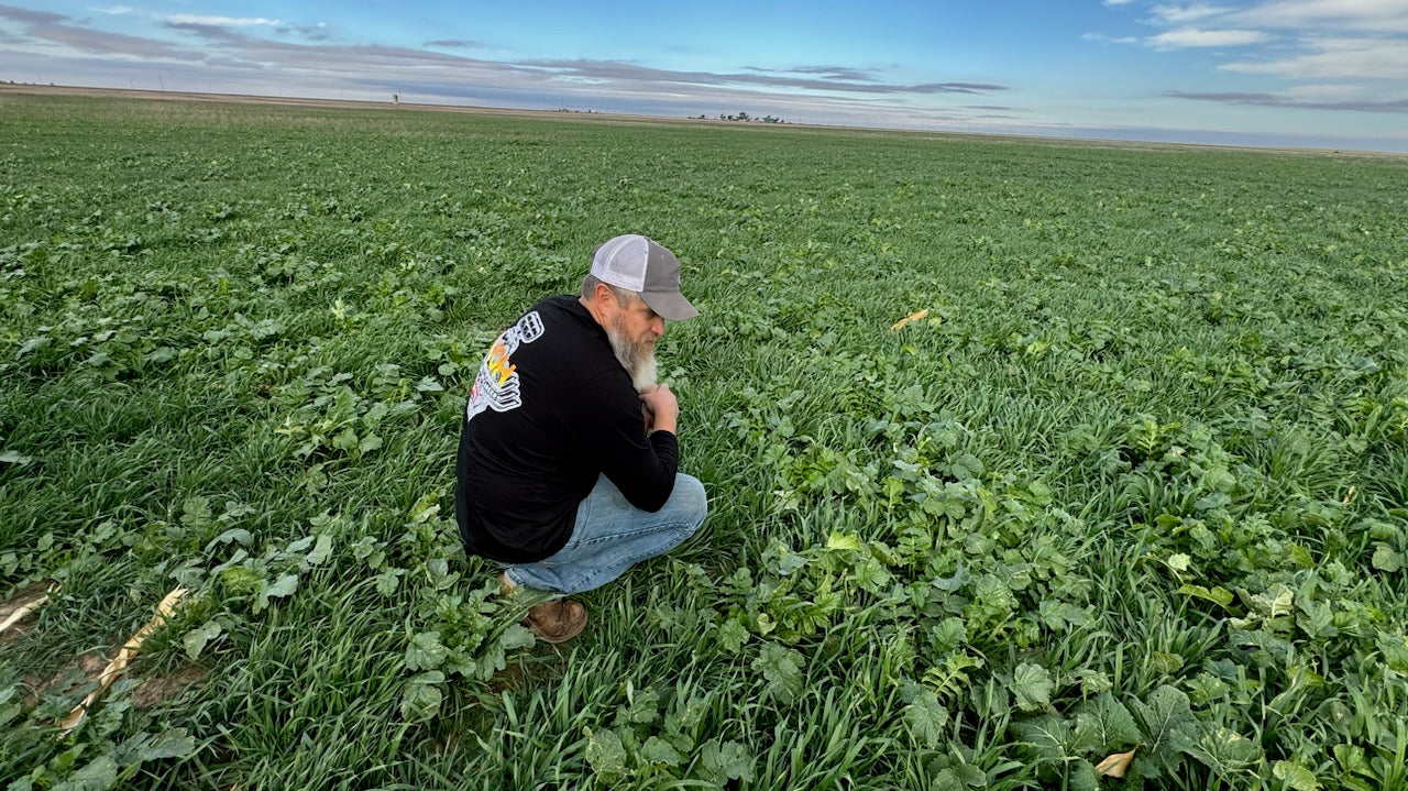 Regenerative Agriculture Heroes: The Resources We Learned From